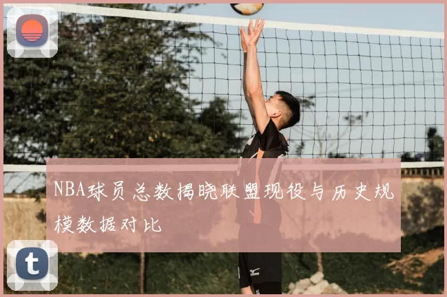 NBA球员总数揭晓联盟现役与历史规模数据对比