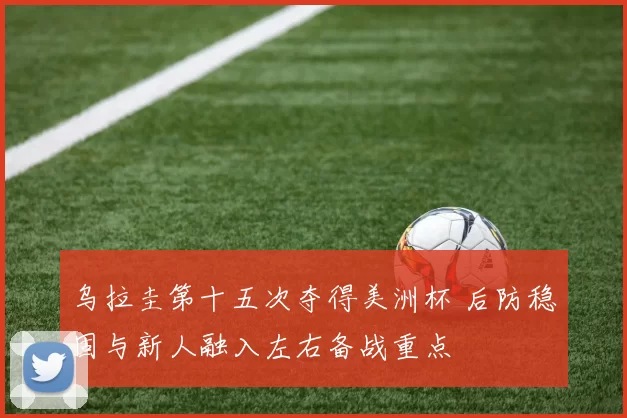 乌拉圭第十五次夺得美洲杯 后防稳固与新人融入左右备战重点