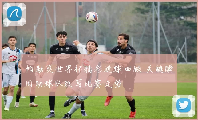 帕勒莫世界杯精彩进球回顾 关键瞬间助球队改写比赛走势