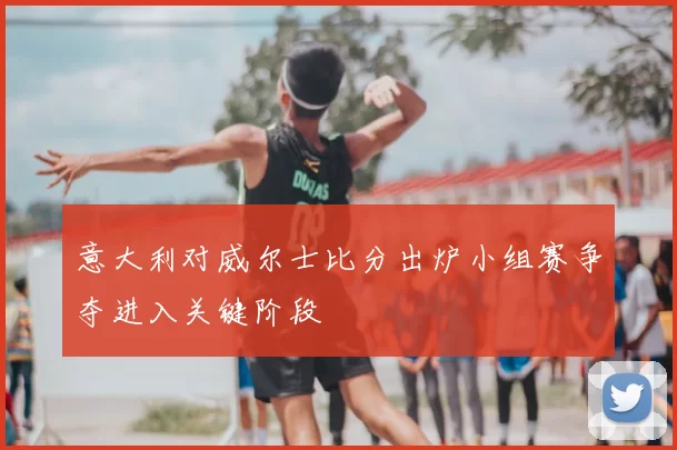 意大利对威尔士比分出炉小组赛争夺进入关键阶段