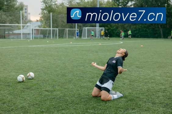 milan米兰官方网站 - 米兰(中国)发展历程